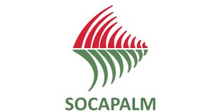 Socapalm